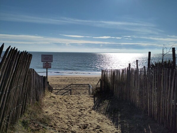 بالقرب من الشاطئ