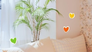 A bedroom with a bed, pillows, a potted plant, and a window with curtains.