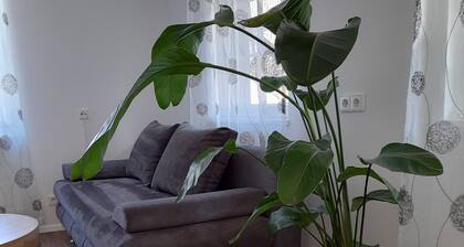Apartment 'Alte Schmiede' with Private Terrace, Shared Garden and Wi-Fi