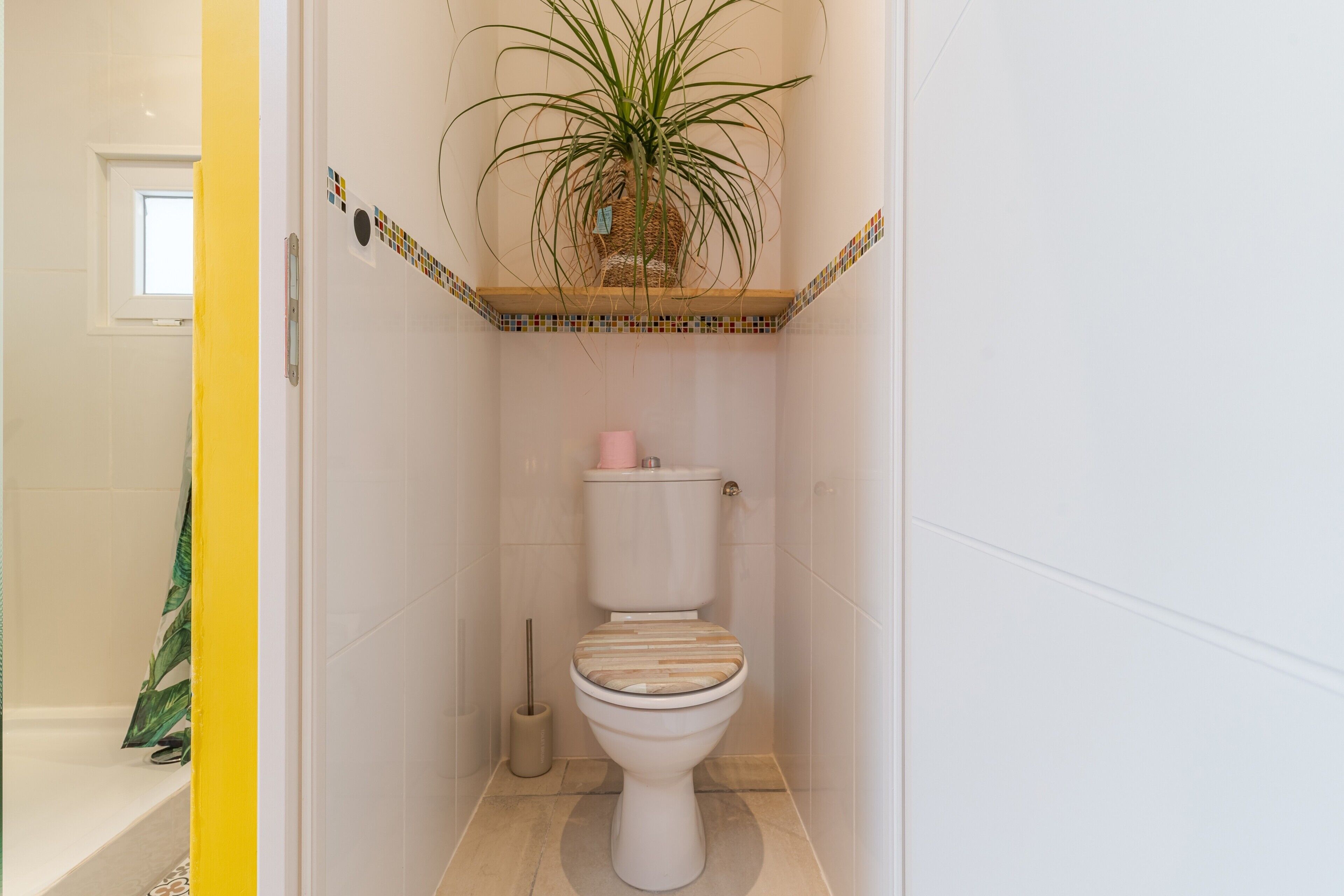 A bathroom with a toilet, a plant, and a window.
