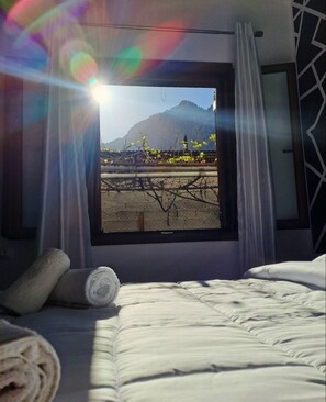 4 bedrooms, iron/ironing board, WiFi, bed sheets