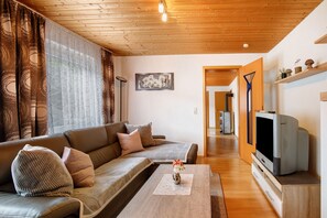 Fernseher