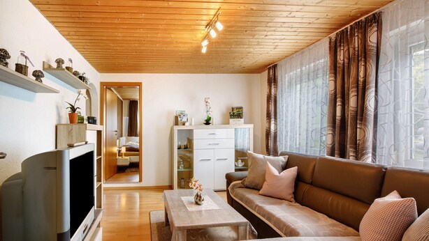 A living room with a wooden ceiling, a sofa, a TV, a coffee table, and a bookshelf. - Apartment 'Ferienwohnung Annette' with Shared Terrace and Wi-Fi (Gomadingen)