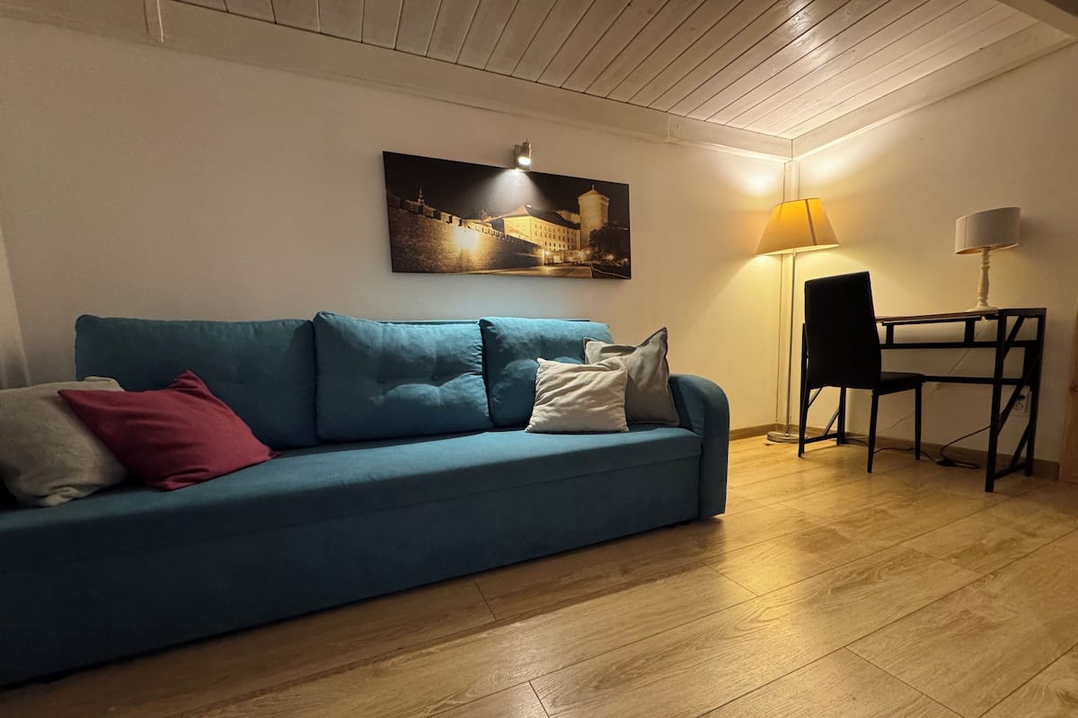 Basic Apartment (AP7) | Hypo-allergenic bedding available, iron/ironing board (on request)
