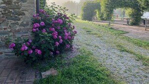 Eine steine Mauer mit einer Reihe lila Rosen, ein Kiesweg und ein Metallbogen in einem Garten.