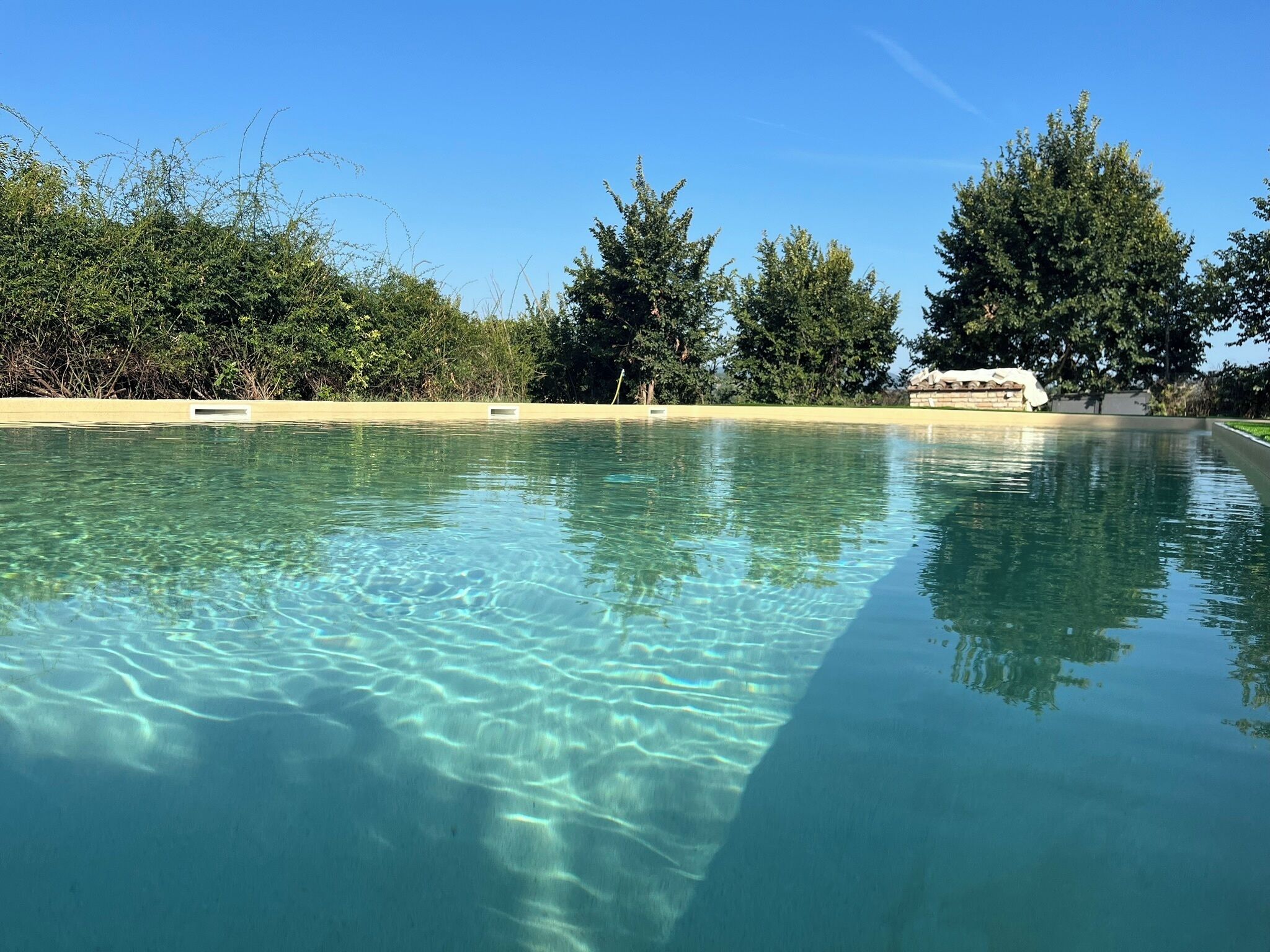 A clear swimming pool with a sandy edge and trees in the background.