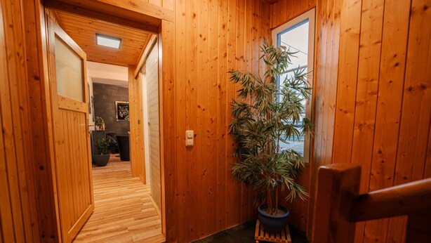 Un pasillo interior de madera con una planta en maceta, una puerta y vistas al exterior.