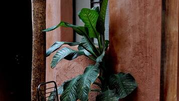 Una pequeña zona de estar al aire libre con una silla de metal y una planta en maceta.