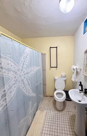 Hair dryer, towels, soap