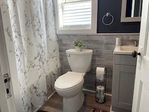 Hair dryer, towels, soap, toilet paper