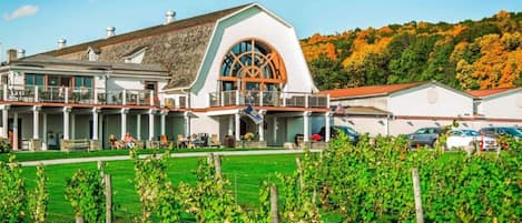 A building with a large arched window, a covered outdoor seating area, and a vineyard in the foreground.