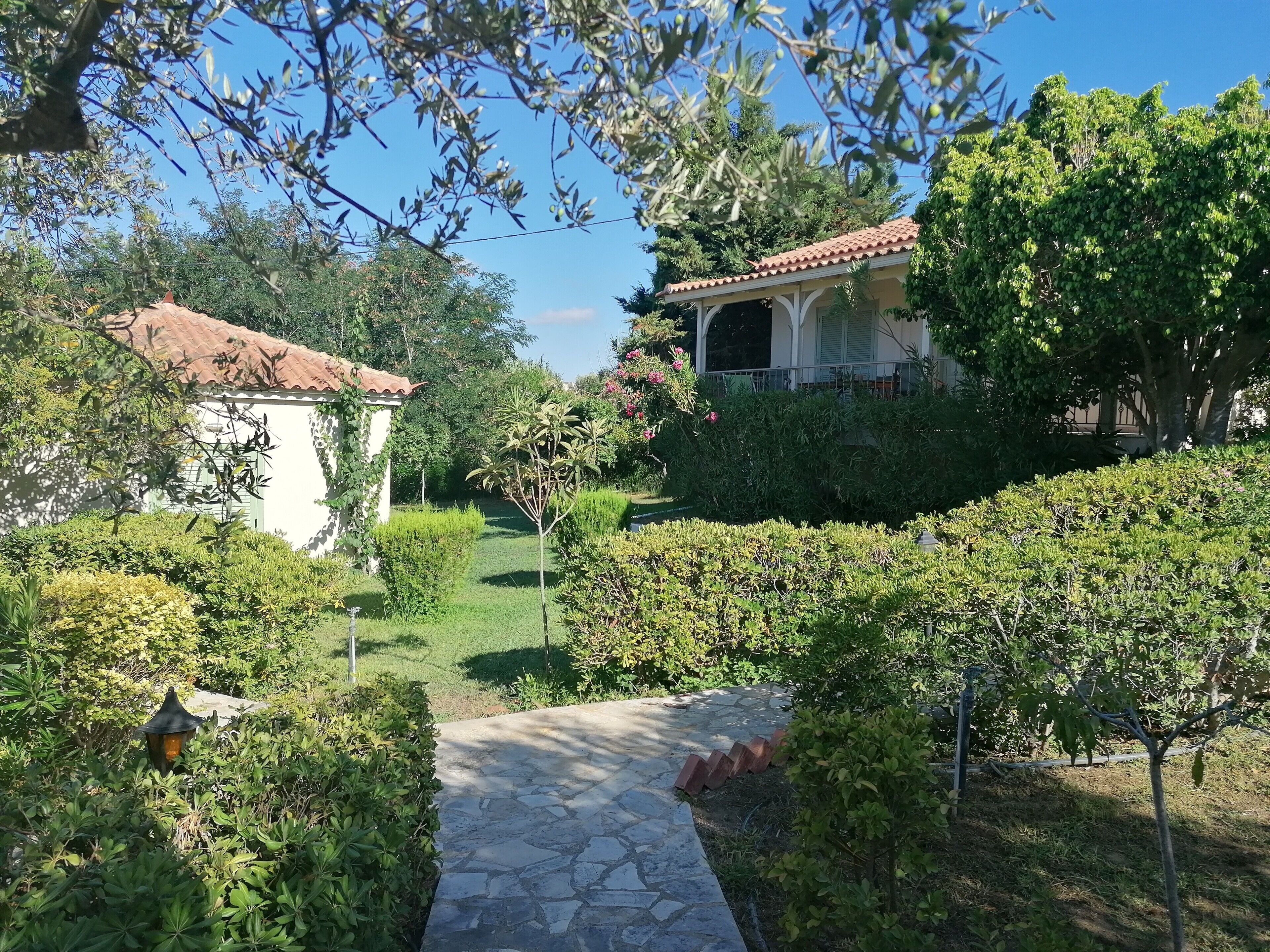 A garden pathway leading to a building with a tiled roof, surrounded by greenery and a clear sky.
