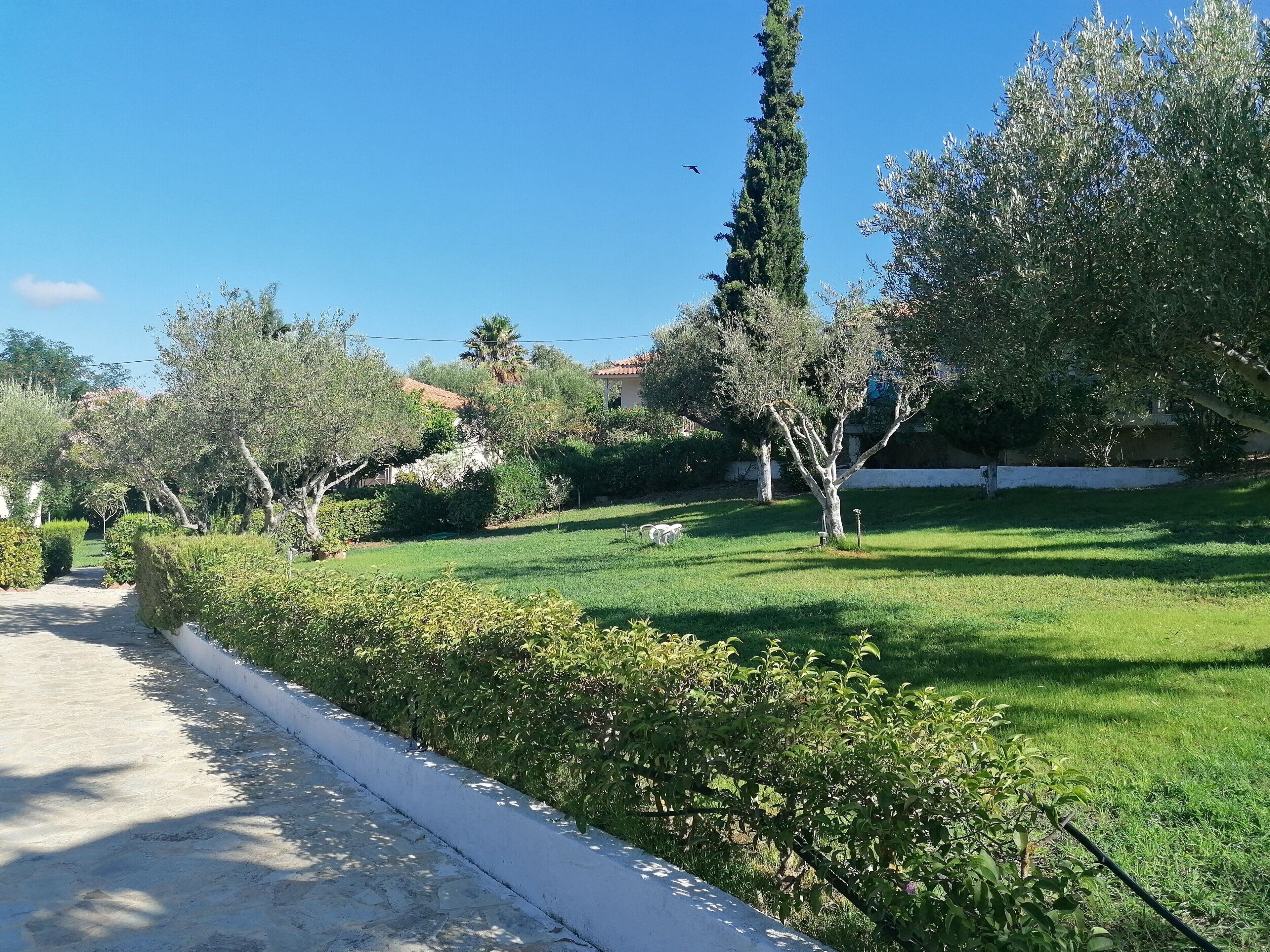 Un sendero serpentea por un jardín cuidado, con diversos árboles y arbustos.