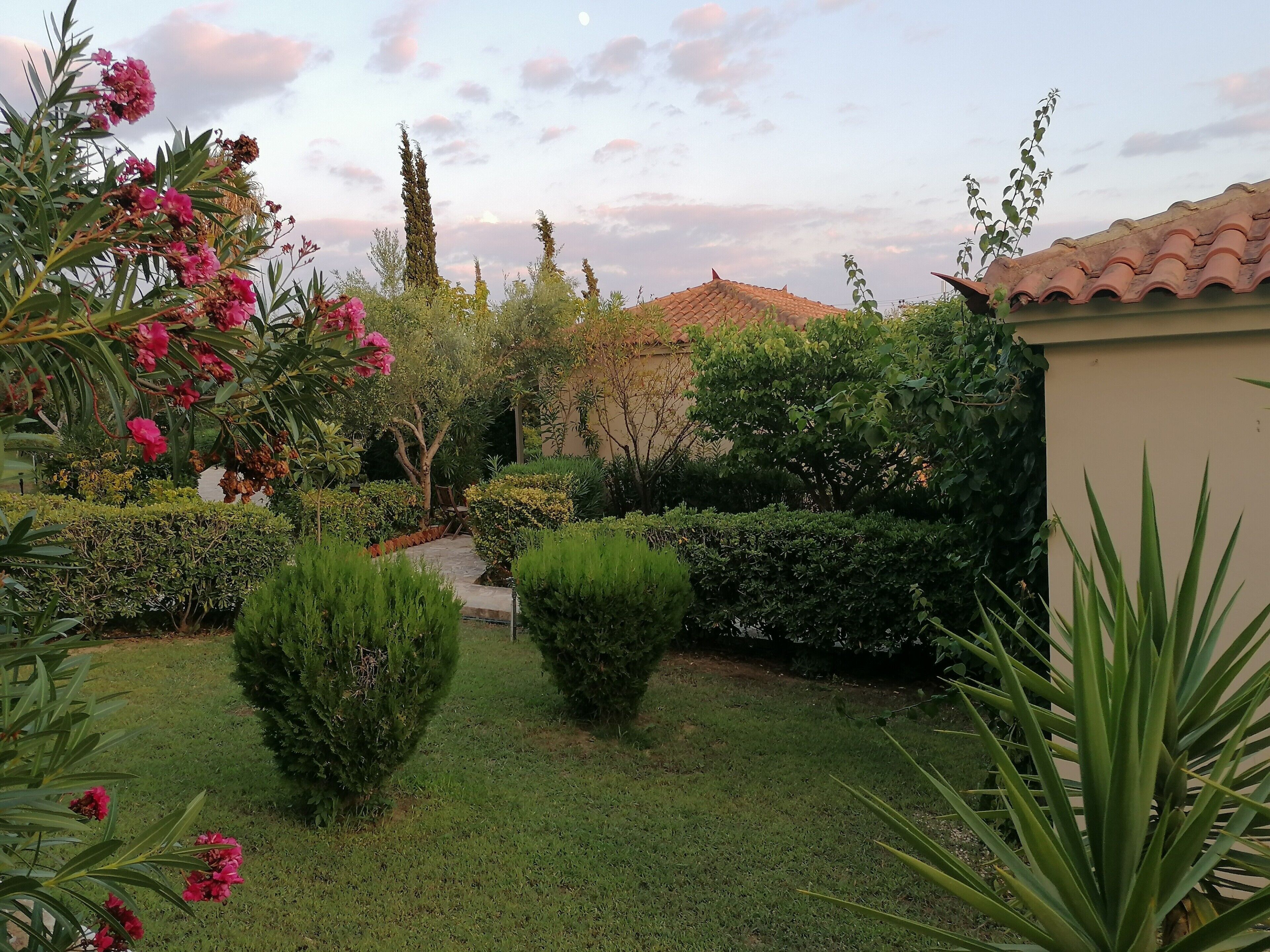 Un giardino con un vialetto, diversi arbusti e un edificio con tetto in tegole.