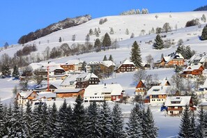 Exterior - Apartment 'Enzian' with Mountain View, Shared Garden and Wi-Fi (Bernau im Schwarzwald)