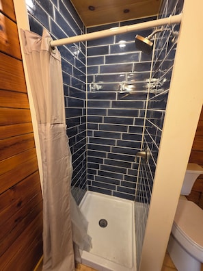 Shower, towels, toilet paper