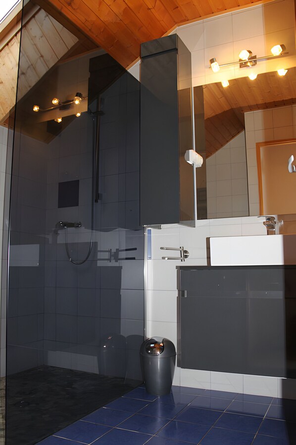Dusche, Haartrockner, Handtücher