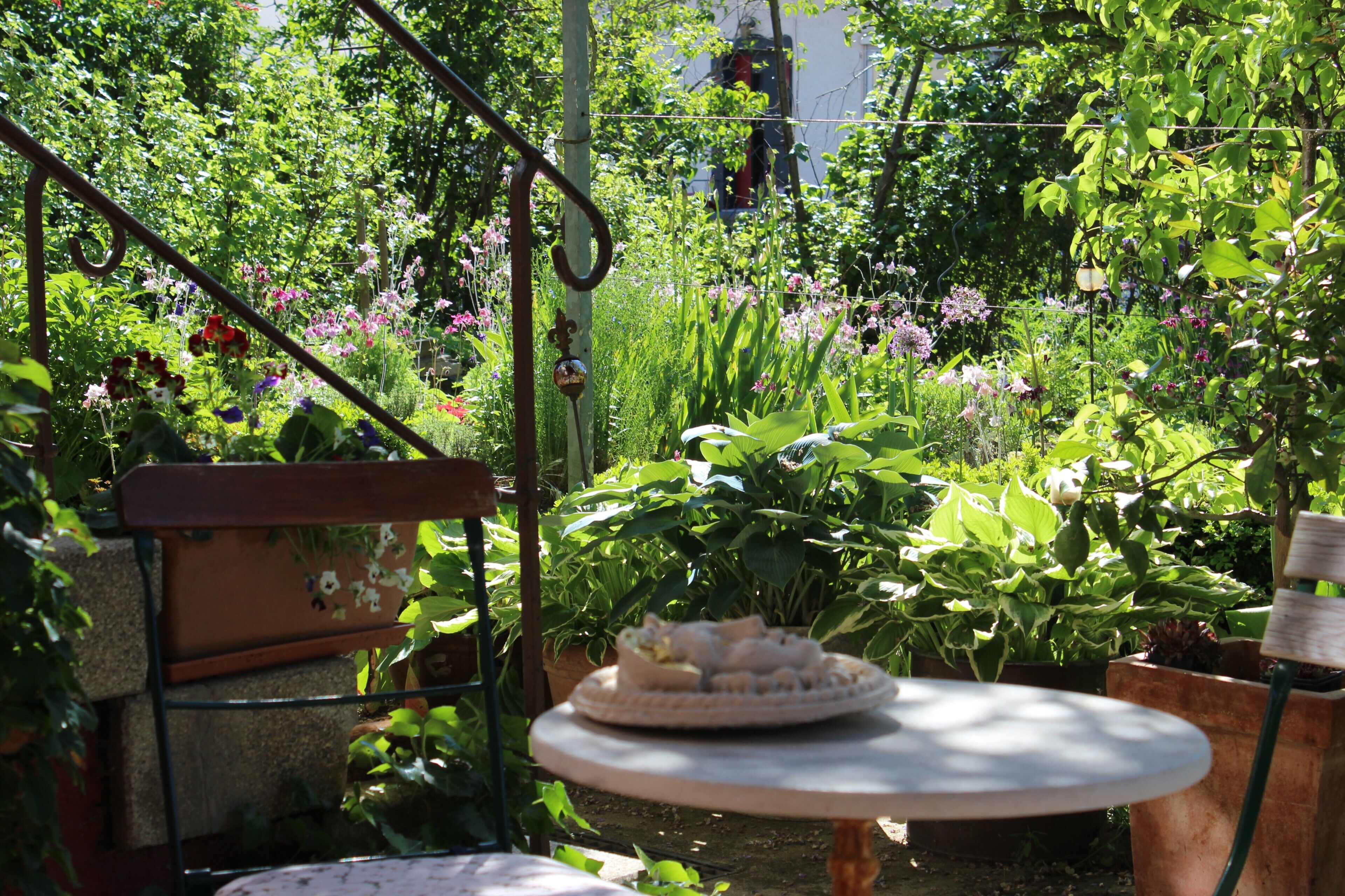 A garden with a table and chair, surrounded by various plants and flowers.