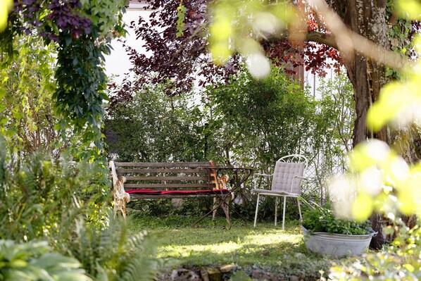 A garden with a wooden bench, a white chair, and a potted plant.