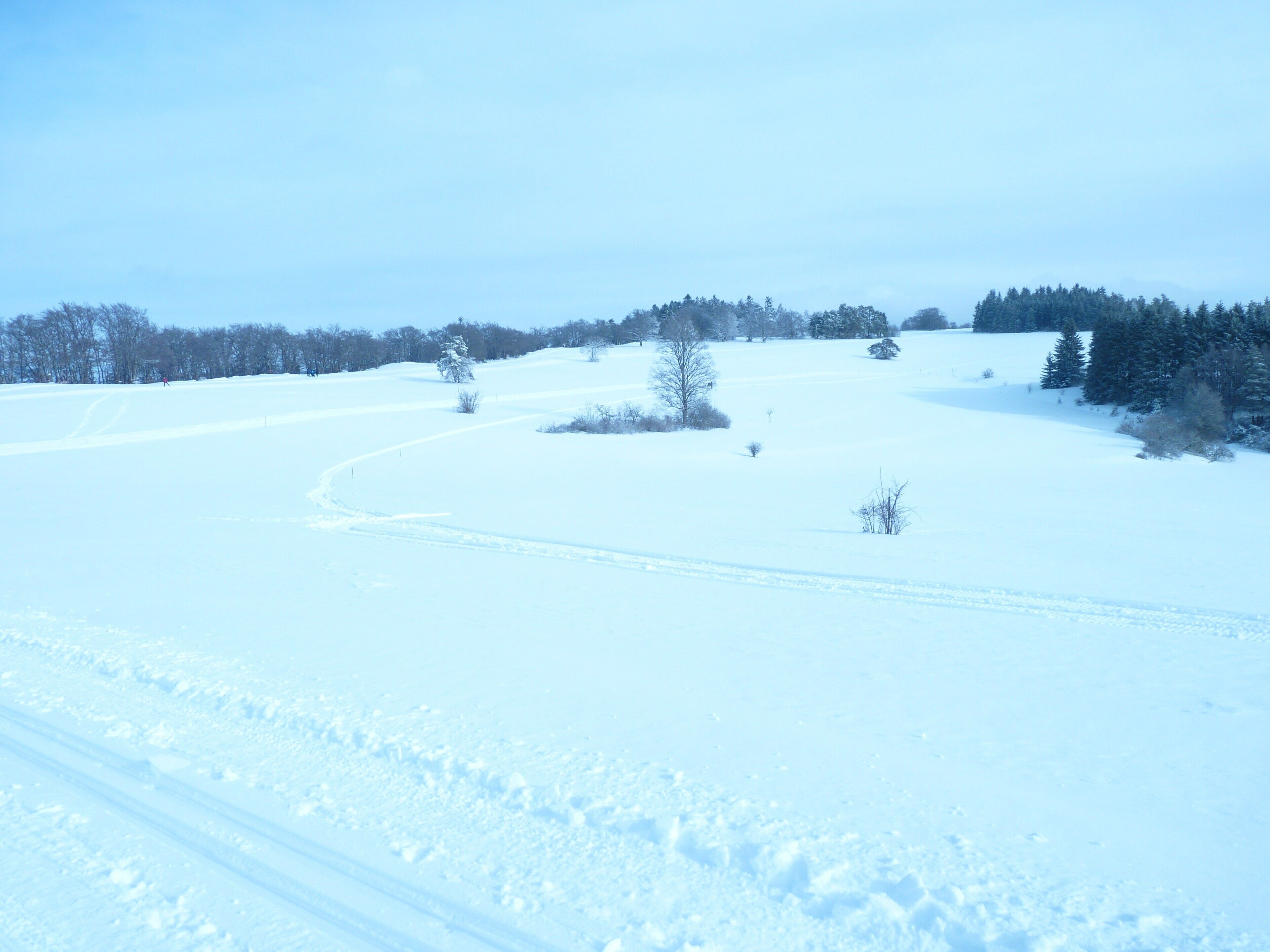 A snowy landscape with a clear sky, a few trees, and a path in the foreground.