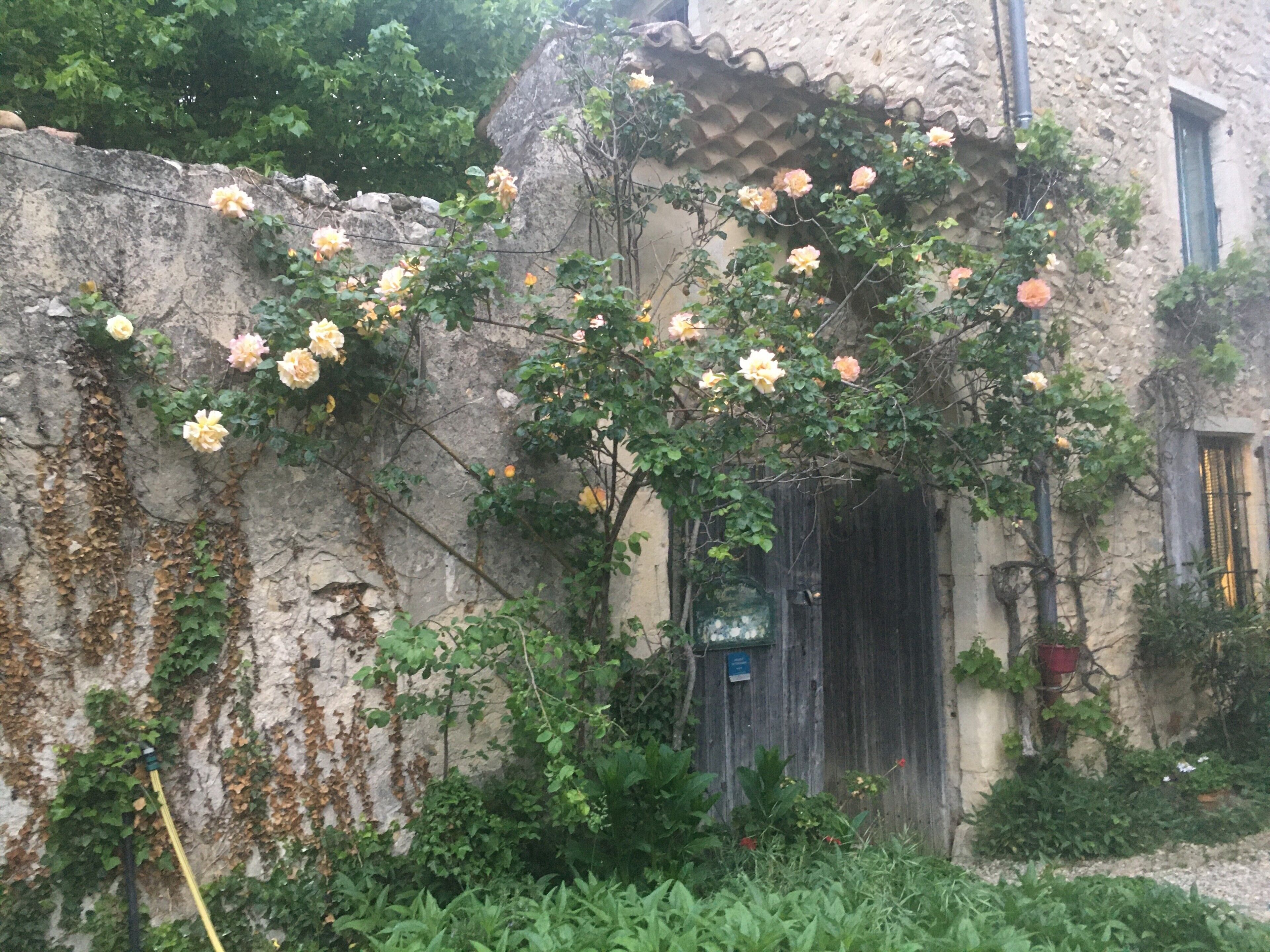 Detalle exterior