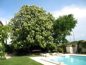 Pool - Apartment 1 (for 2 people) (Sauzet)