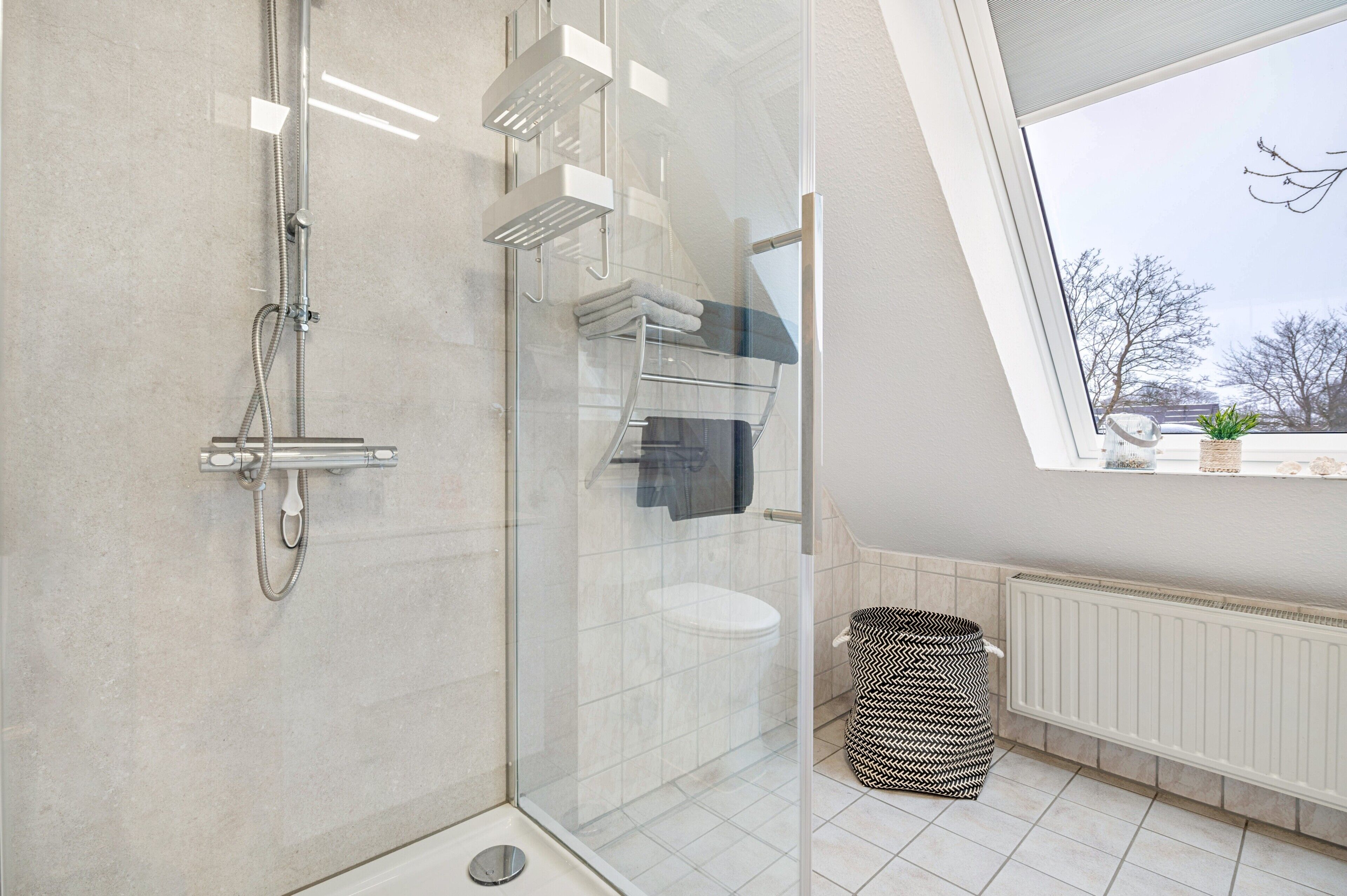 Shower, hair dryer, towels