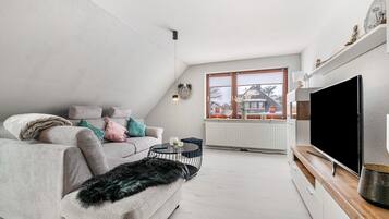 Fernseher