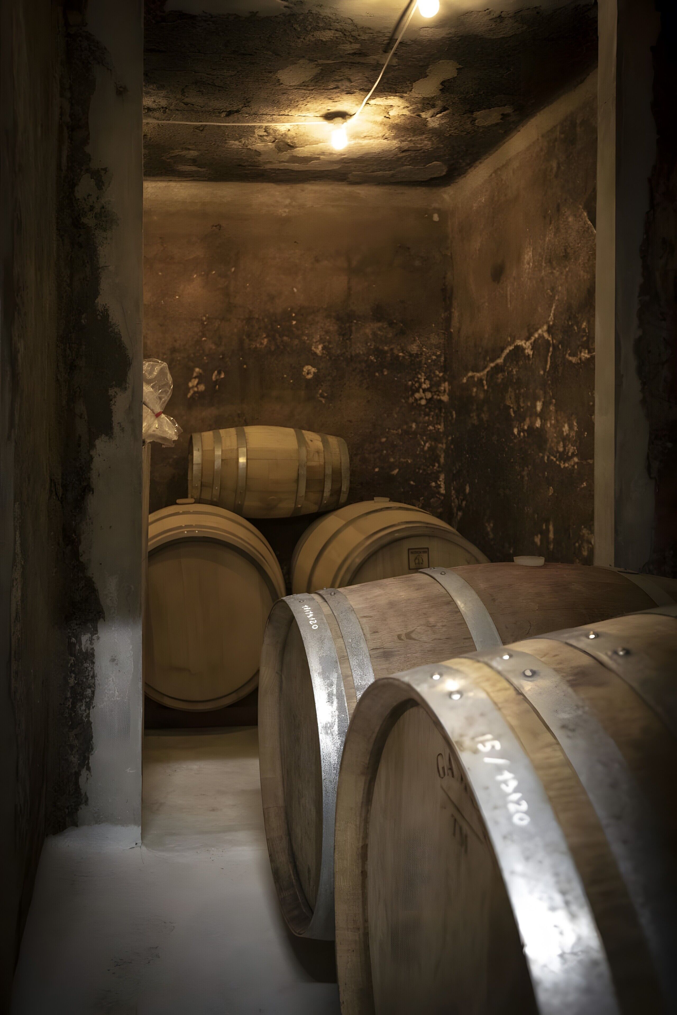 A dimly lit cellar with wooden barrels stacked against the wall.