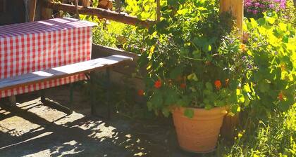 Holiday Home 'Xxl-appartement Moarhof' with Mountain View, Private Terrace and Wi-Fi