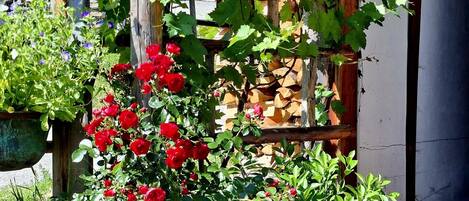 Details aan de buitenkant