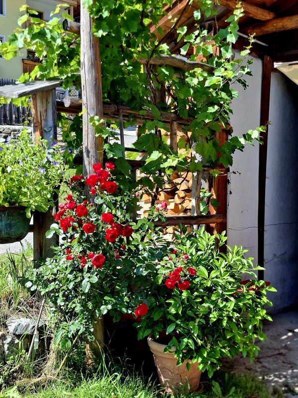 Détail de l’extérieur