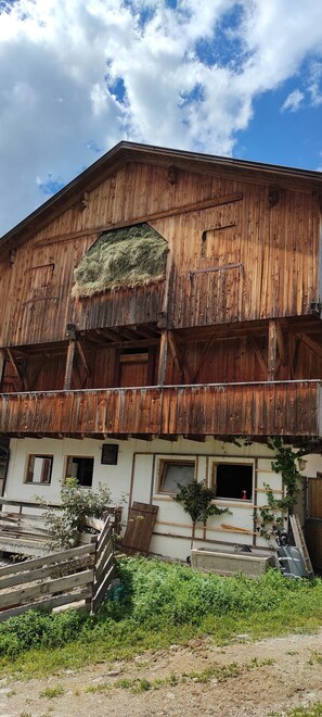 Exterior - Holiday Home 'Xxl-appartement Moarhof' with Mountain View, Private Terrace and Wi-Fi (Acereto)