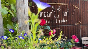 Una pérgola de madera con un letrero que dice 'moar hof Weinlaube'.