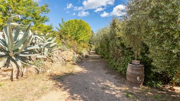 Terrein van de accommodatie