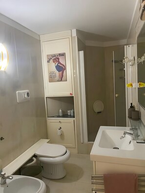 Shower, hair dryer, towels