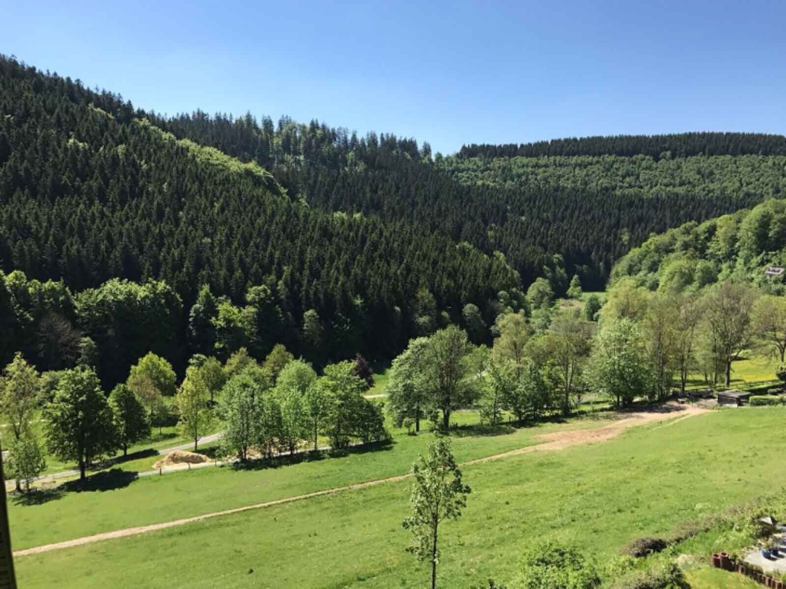 Un paisaje montañoso con bosques densos y cielo despejado.