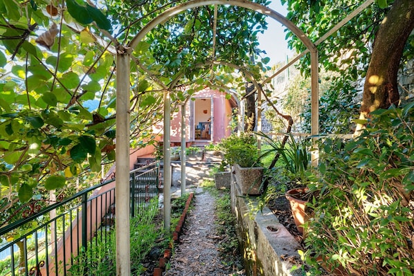 A garden pathway leading to a building with a covered entrance, surrounded by greenery and a metal fence.