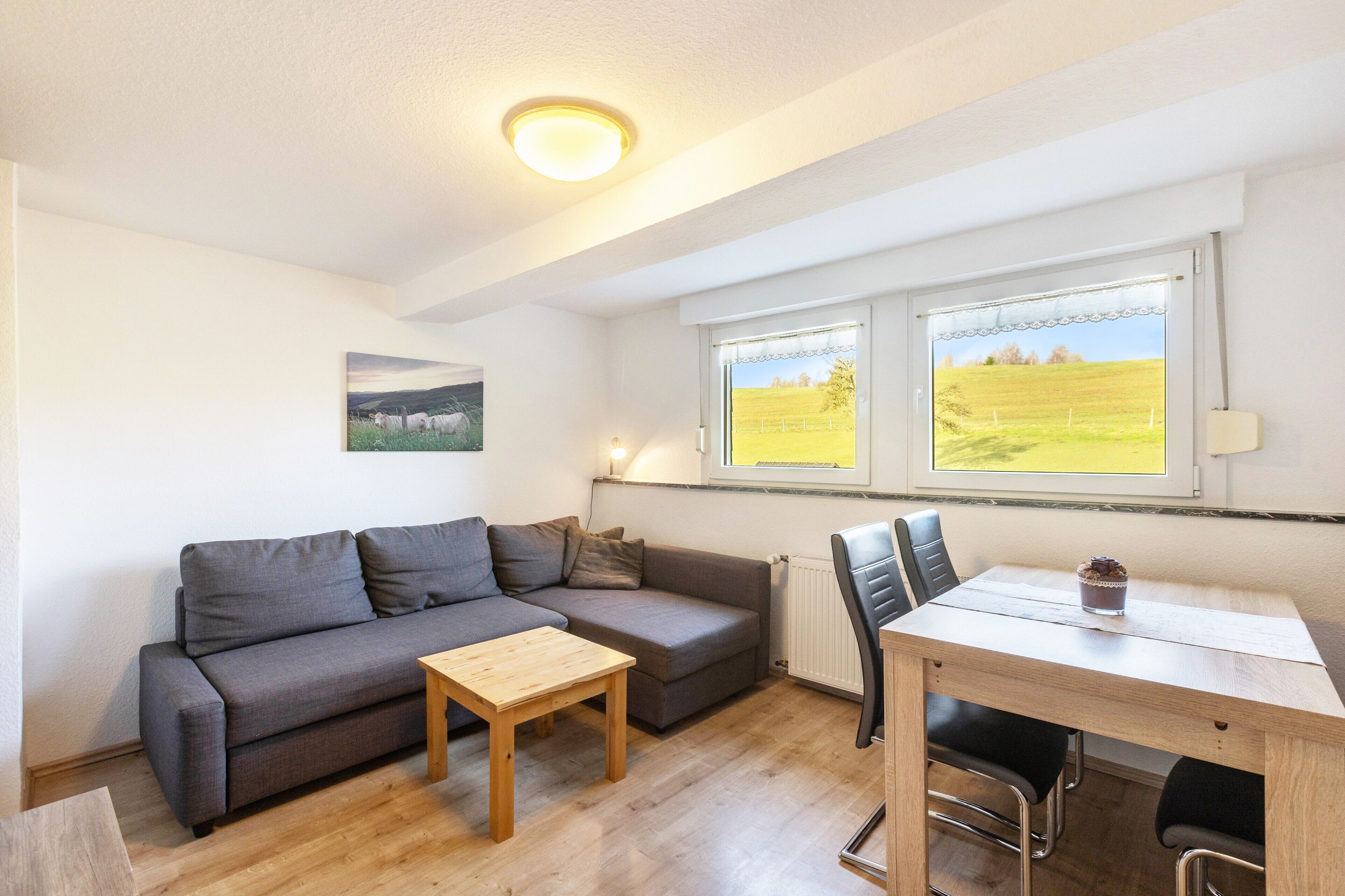 テレビ、ステレオ