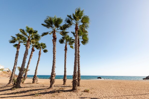 Nära stranden
