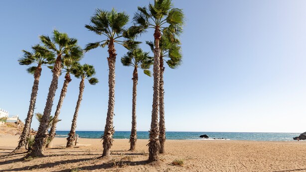 A beach with palm trees and a clear sky. - Apartment 'Bahía Mar' with Sea View, Private Terrace and Wi-Fi (Puerto de Mazarrón)