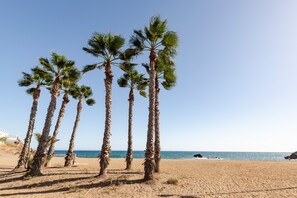 A beach with palm trees and a clear sky.