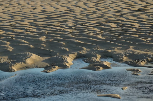A sandy beach with footprints and a small body of water.
