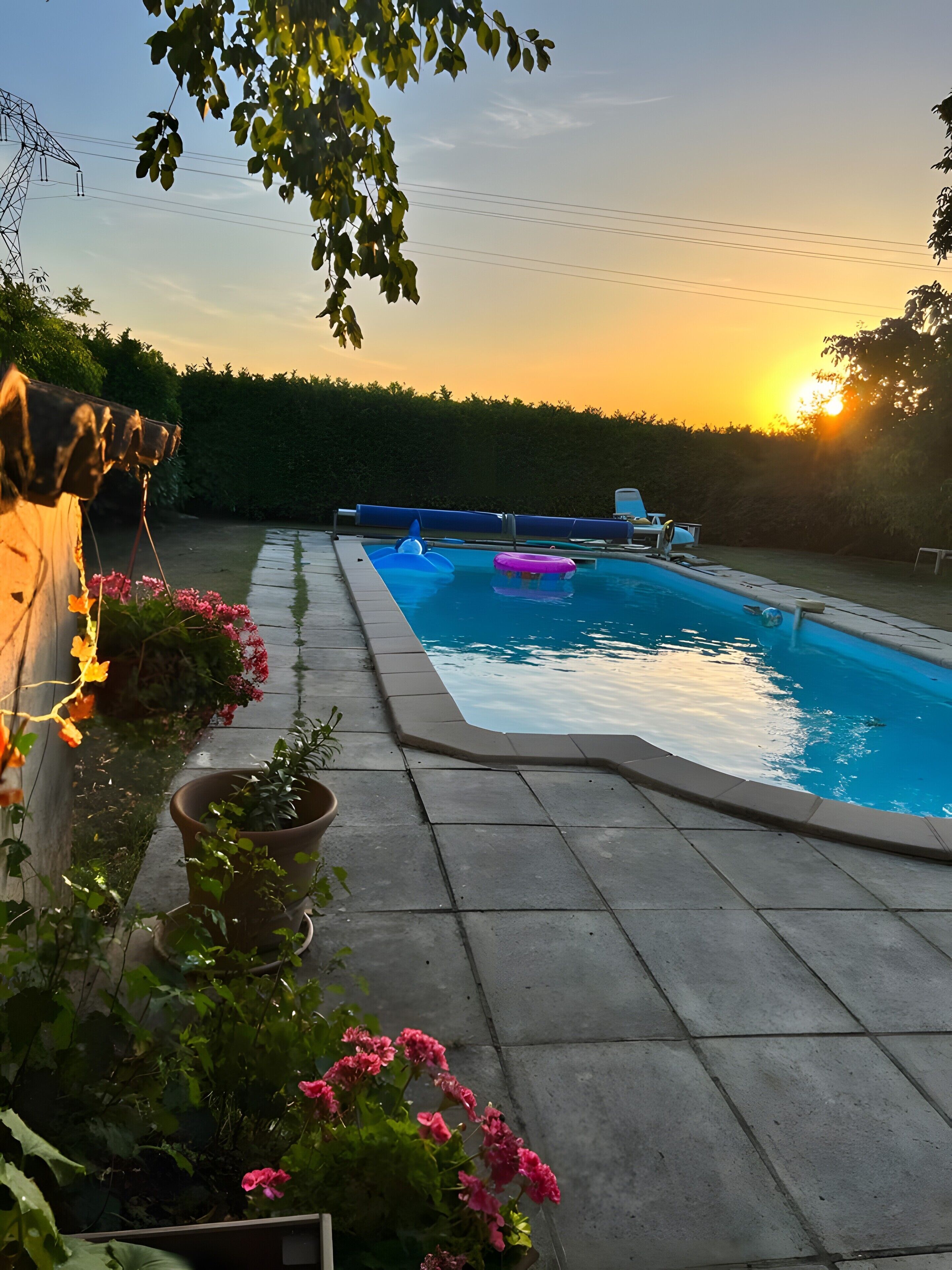 A swimming pool with a curved edge, surrounded by potted plants and flowers, with a clear sky in the background.