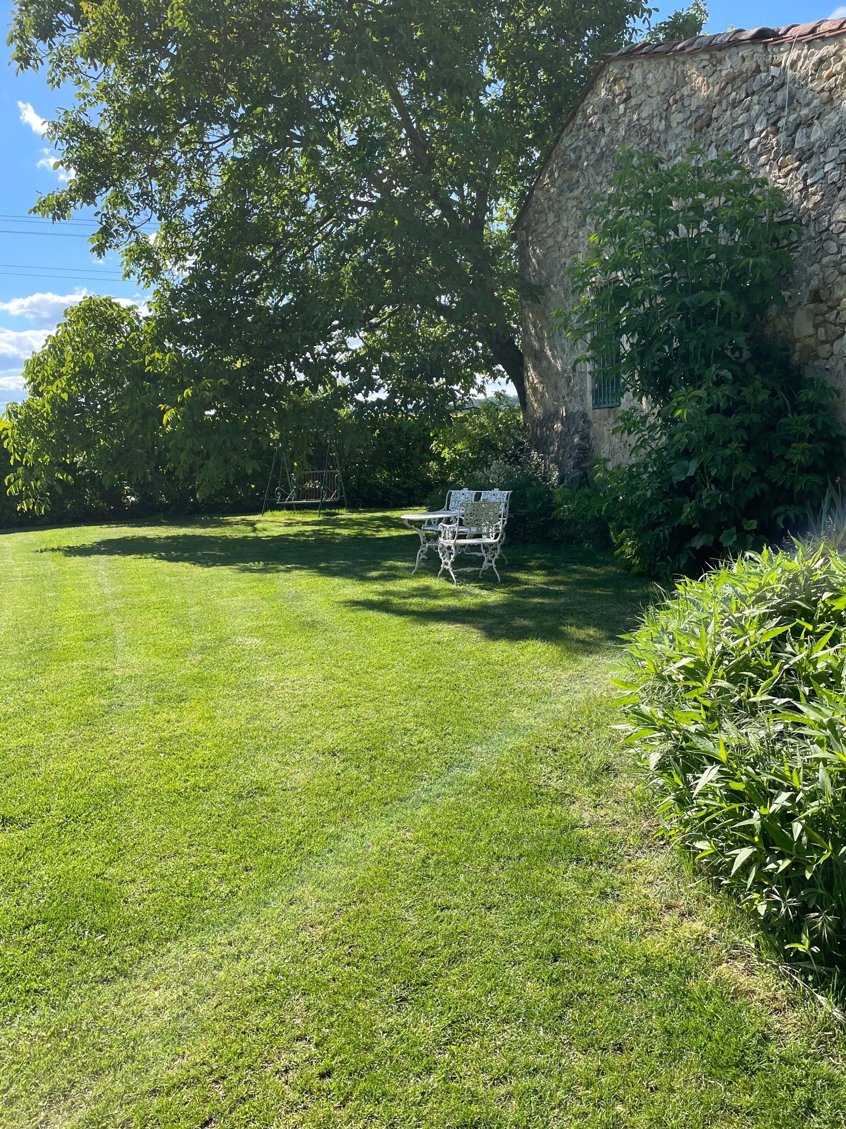 Un espace extérieur verdoyant avec un banc en métal, un mur de pierre et un grand arbre.