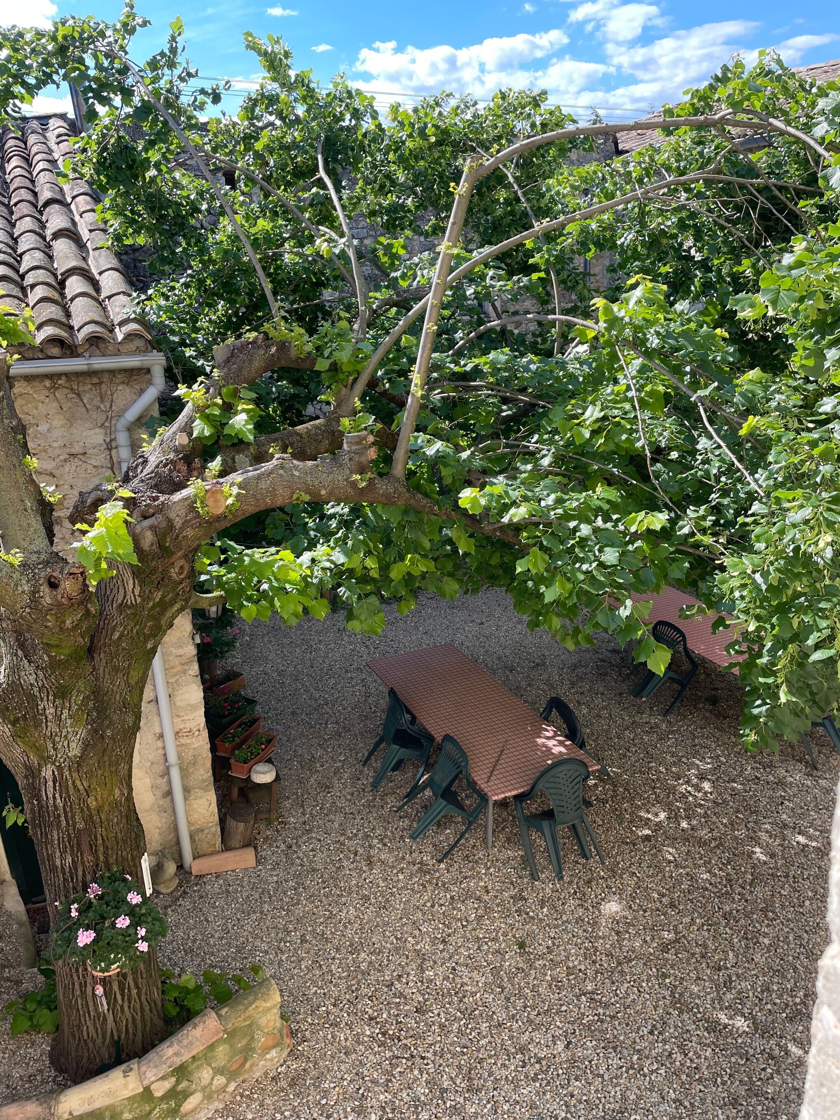 Een terras met een tafel en stoelen, omringd door een boom en grind.