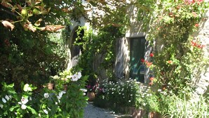 Un étroit sentier de jardin, bordé de plantes en pot et d’arbustes en fleurs, mène à l’entrée d’un bâtiment.