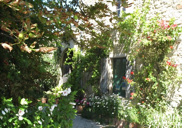 Ein schmaler Gartenweg mit Blumentöpfen und blühenden Sträuchern, der zu einem Hauseingang führt.