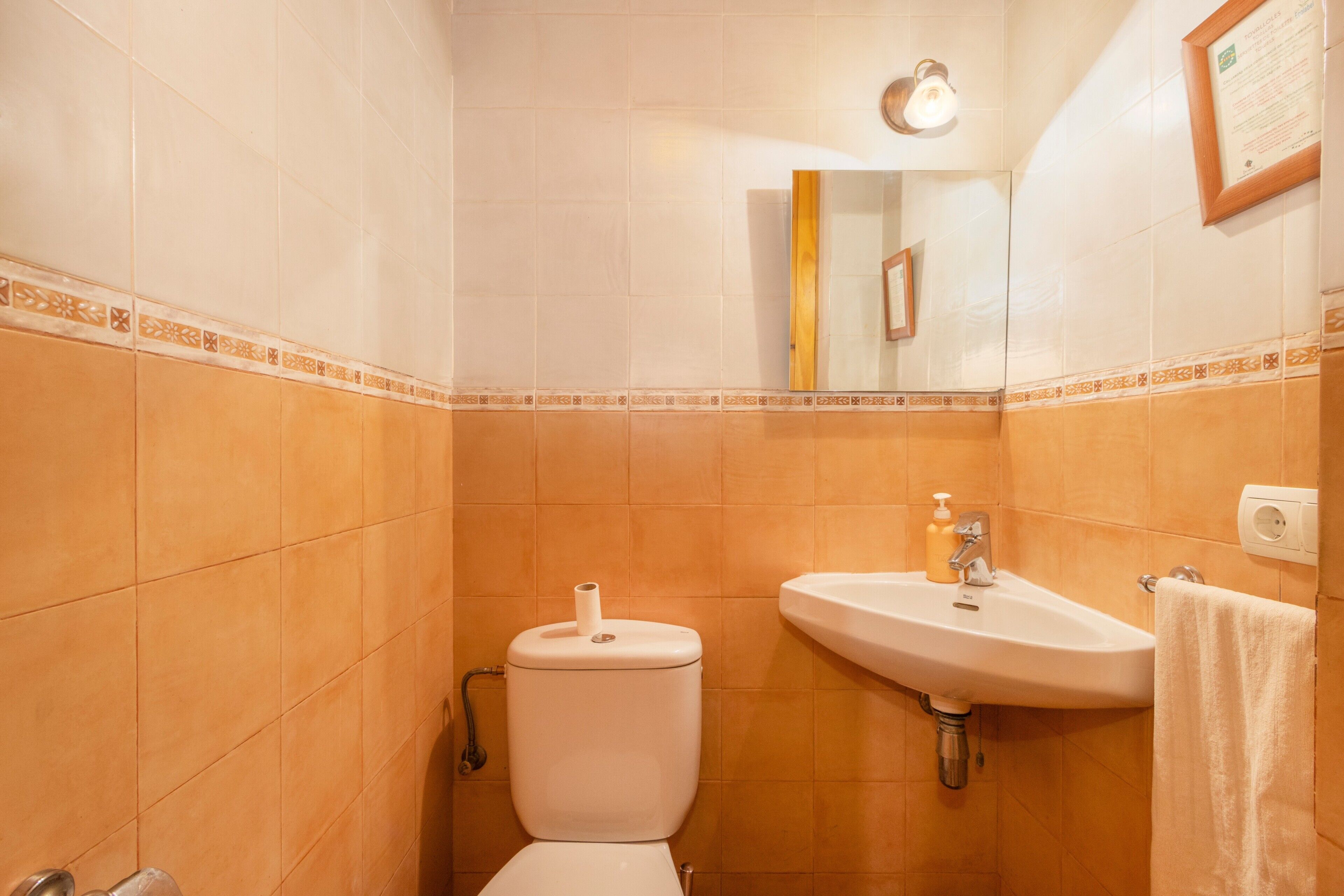 Une salle de bain avec des toilettes, un lavabo et un miroir.