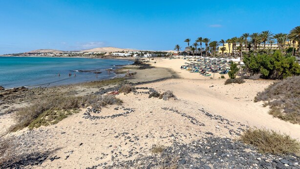 Une plage avec un rivage sablonneux, des palmiers et un ciel bleu clair.